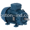 WEG W21 Aluminium Motor WEG Motori Induction Motor