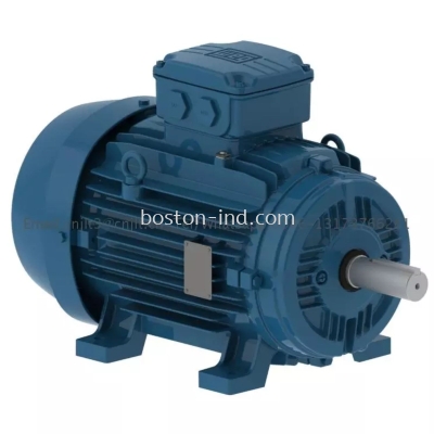 WEG W21 Aluminium Motor