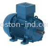 WEG Explosion Proof Motor Stg Induction Motor Induction Motor