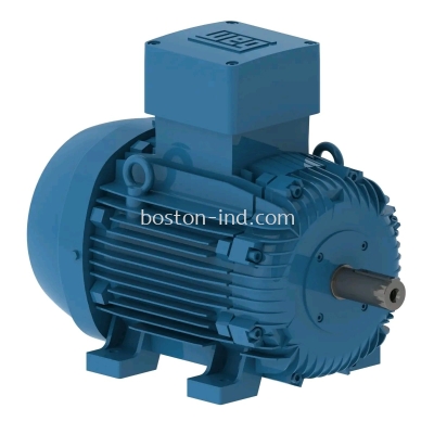 WEG Explosion Proof Motor