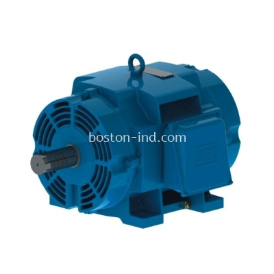 WEG ODP Open Induction Motors  High Efficiency