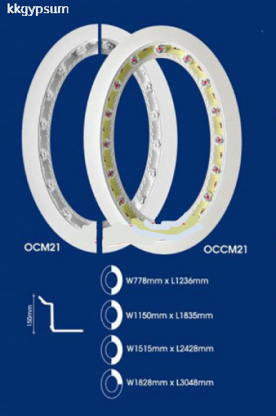 OCM21 & OCCM21