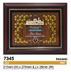 7345 Culture Souvenirs & Plaques Trophy