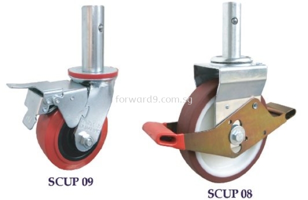 SCUP Series