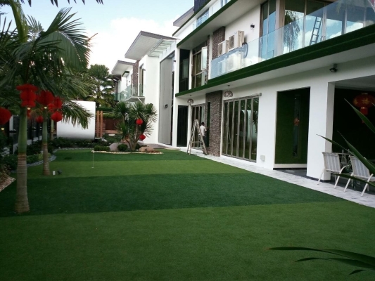 Artificial Completed Grass Project Refer