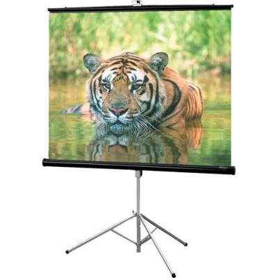 Drapper 6' (70''x70'') tripod screen