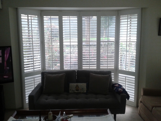 Living Room Shutter