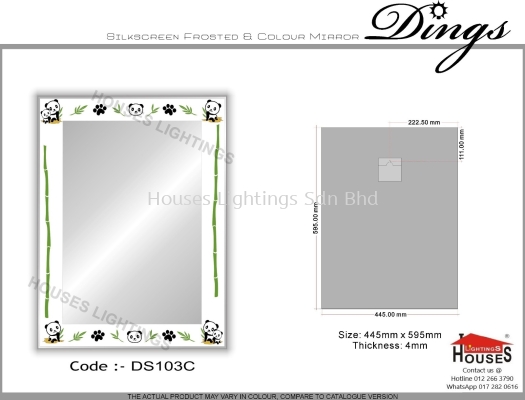 Mirror Dings DS103C