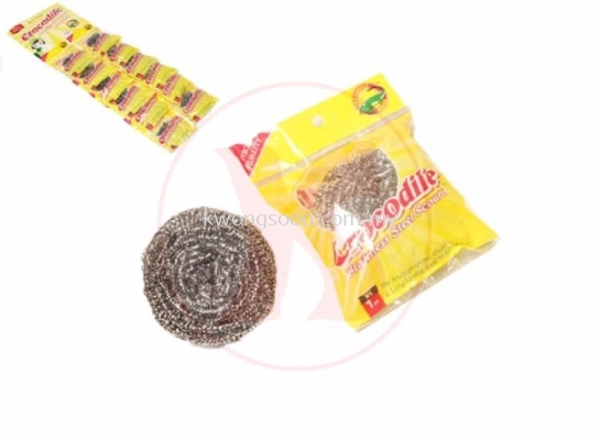 Stainless Steel Scourer