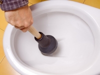 Toilet Stucks
