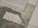 Broken Marble & Timber Flooring Others