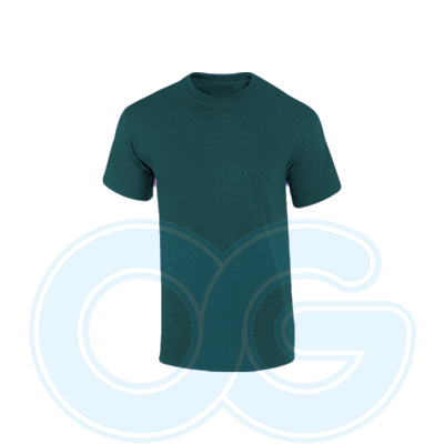 Unisex Tee-Shirt (G5000M/171)