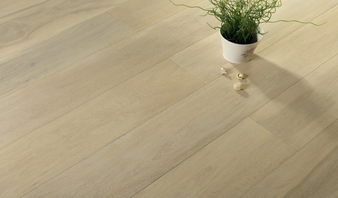 White Oiled & Brushed (Oak 03) (2)