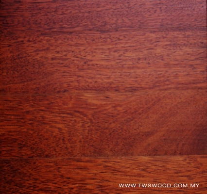 Solid Wood 0018