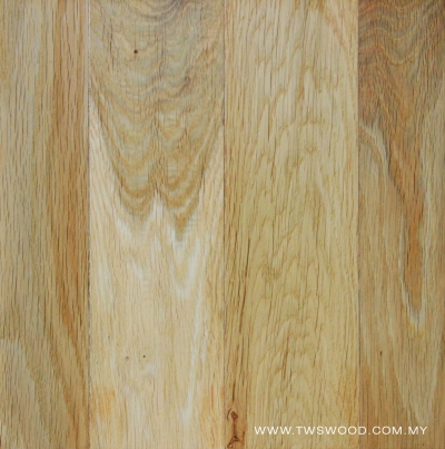 Solid Wood 0003