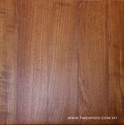 Solid Wood 0013