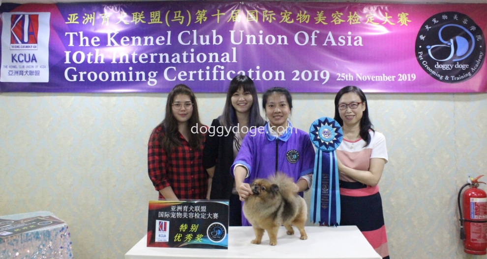 C Zhi Yee ͬѧ Ž  Excellent Award 2019