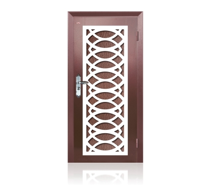 Security Door AP1-W893