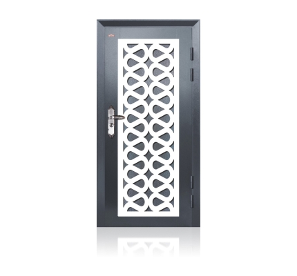 Security Door AP1-W993