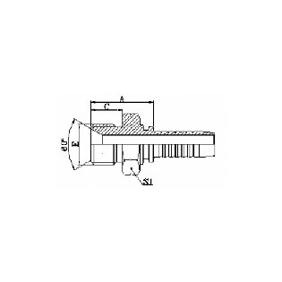 12 BSP Male 60Cone Seat