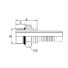 20 Sae O-Ring Seal Hydraulic Fitting