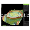 3D Roughness Reconstruction ProSuite Software THERMOFISHER SCIENTIFIC