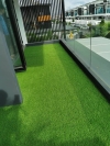 Artificial Grass Others