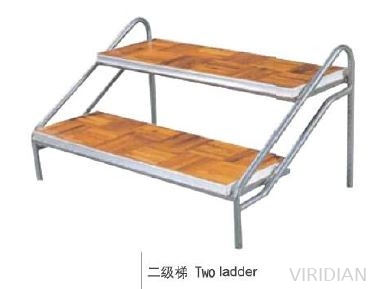 Two Ladder