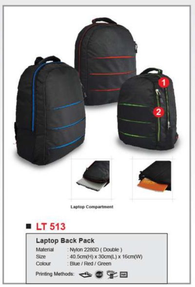 Laptop Back Bag LT513