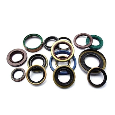 Oil Seal Gasket