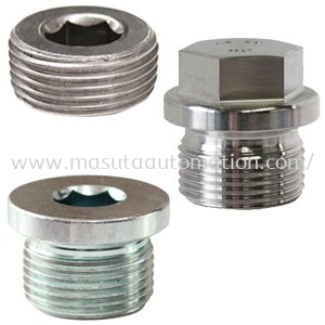 PLUG 22MM