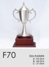 F070 Pewter Trophies Trophy