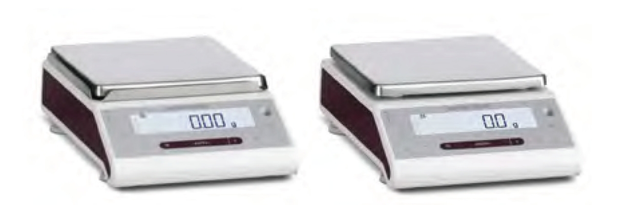 WEIGHING BALANCES