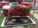 Live Grill Lamb / ֳȫ Live Food / ֳʳ Long Sheng Add On Services / ʢӵ