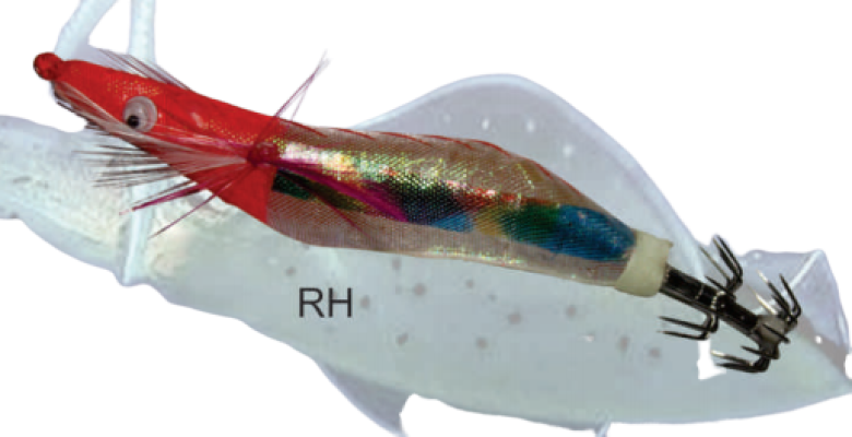 2.5NDX SEAWOOD SQUID JIG (RAINBOW CLOTH WRAPPED WITH SPECIAL BUOYANCY)