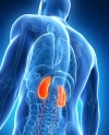 Kidney Diseases POCT Quantitative Tests & Diagnostics Systems