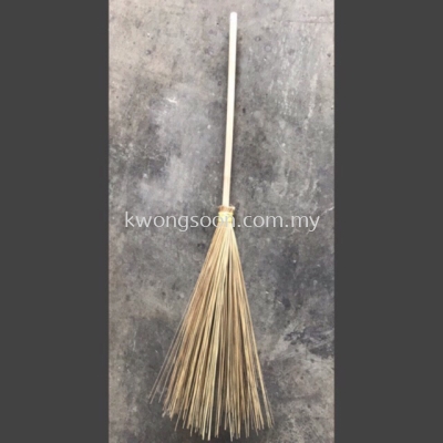 Lidi Broom With Handle