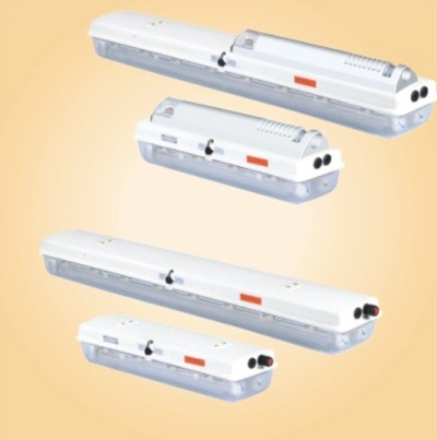 Zone 1 Standard & Emergency Fluorescent Fitting