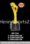 IFF314 GOLDEN TROPHY Golden Series Trophy Trophy Award Trophy, Medal & Plaque