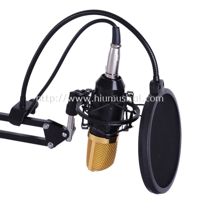 Voltech USB / Phone Condenser Recording Microphone