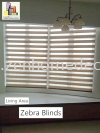 Zebra Blinds Zebra Blinds Blinds