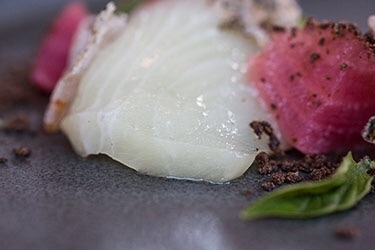 Hamachi Fillet