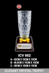 Crystal Trophy Vase Award Trophy, Medal & Plaque