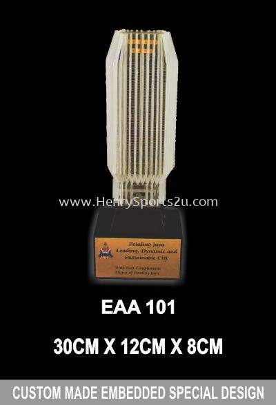 EAA 101 CUSTOM MADE EMBEDDED