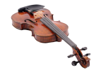 Ruggeri RB - RM 5000 Violin