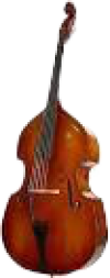 Aldini - RM 6500 Double Bass