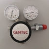 Gentec Nitrogen Regulator R12BMK-DMP-35-11-R, 15 psi Gentec Nitrogen Regulator (USA) Industrial Gas