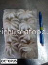 Octopus Frozen Squid