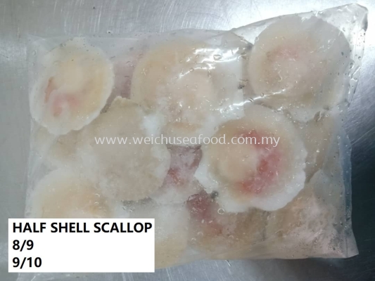 Half Shell Scallop