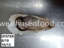 Oyster Frozen Clam